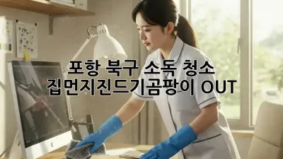포항 북구 소독 청소🧹, 집먼지진드기•곰팡이 OUT! 🏡✨